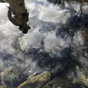 Meet your Posher, Biz